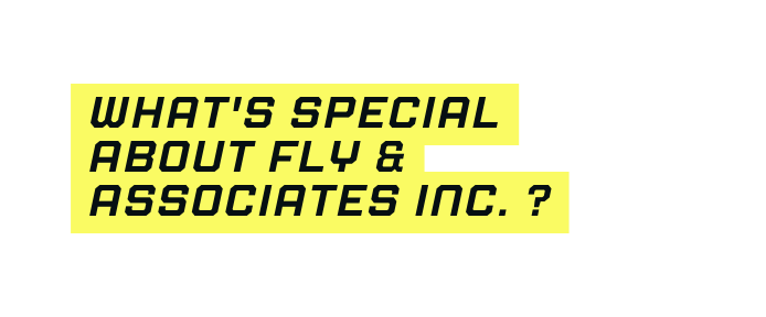 What s special about Fly Associates INC